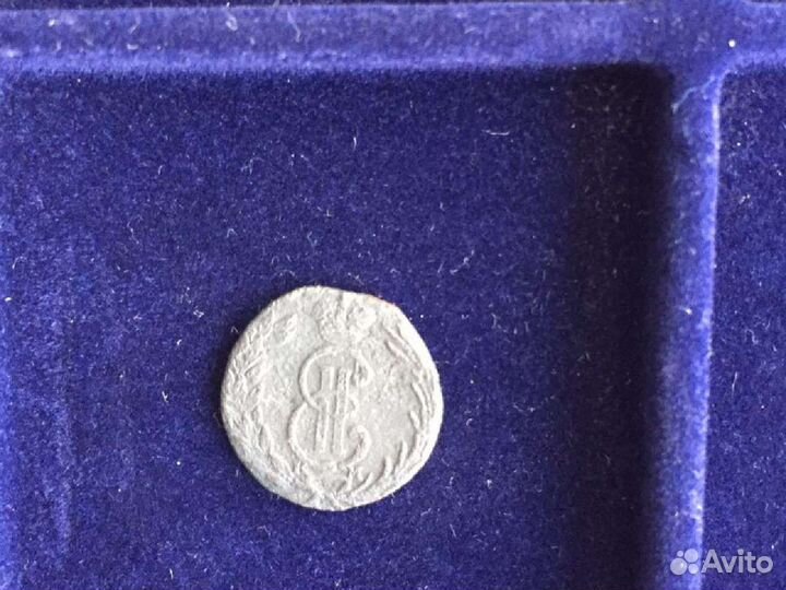 Полушка сибирская 1768 км