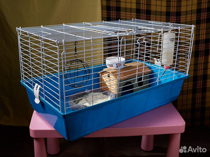 Клетка для морской свинки морских свинок ежа