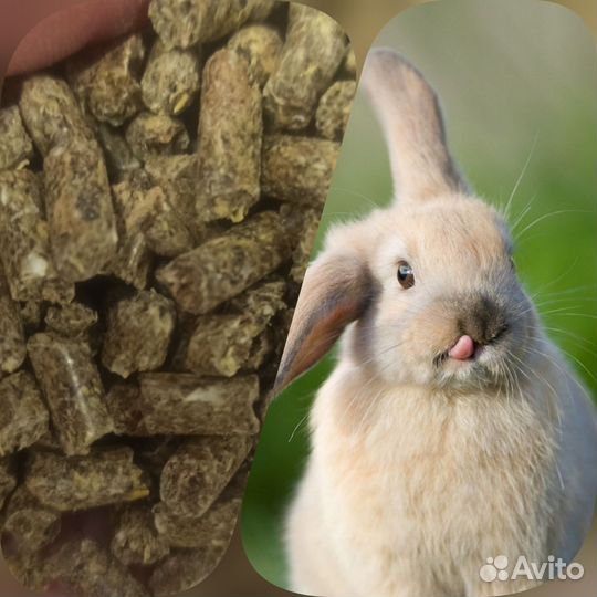 Комбикорм для кроликов
