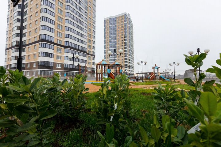 Квартира-студия, 26,6 м², 17/24 эт.