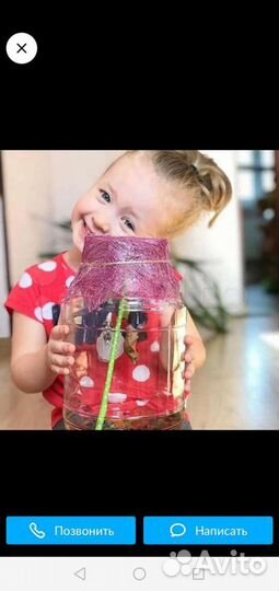 Бабочкина ферма. Живые бабочки