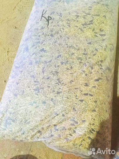 Корм для домашних грызунов и попугаев