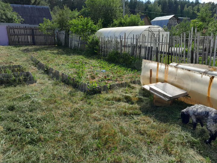 Дача 12 м² на участке 3 сот.