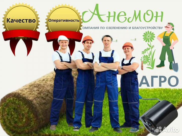 Рулонный газон
