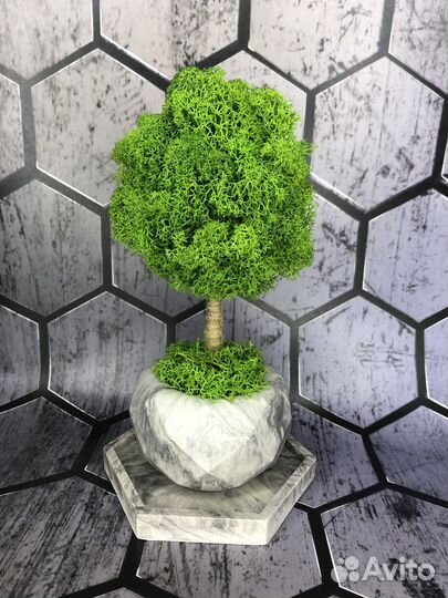 Дерево из стабилизированного мха