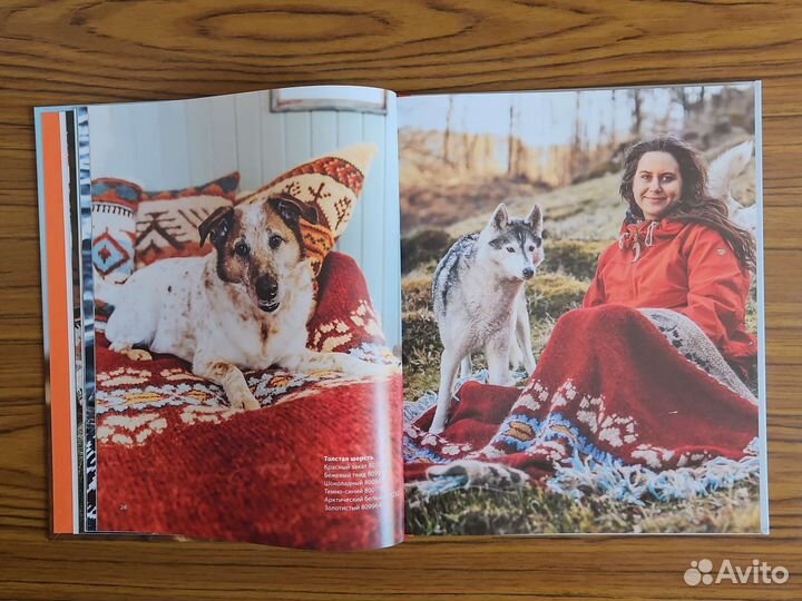 Книга Дикие интерьеры