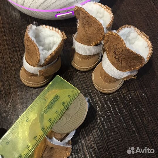 Ботинки для маленьких собак