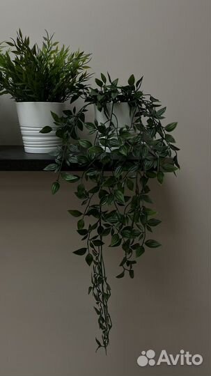 Декоративный куст в горшке IKEA