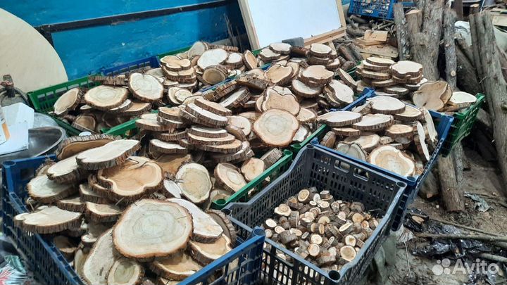 Спилы можевельника