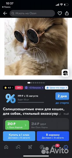 Очки для кота