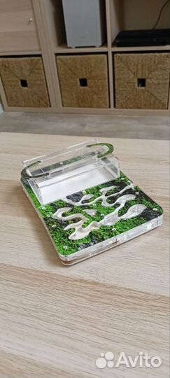 Муравьиная ферма