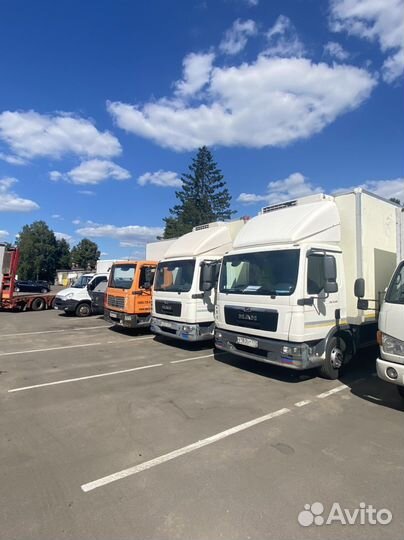 Грузоперевозки Москва мо