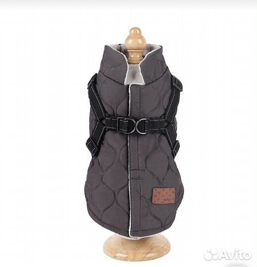 Одежда для собак