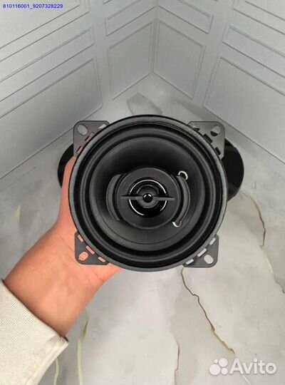 Автоколонки Pioneer TS-A6975 1800W 24x16см