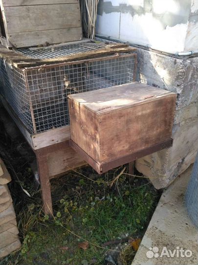 Клетки для кроликов и птицы