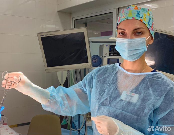 Ветеринарный врач