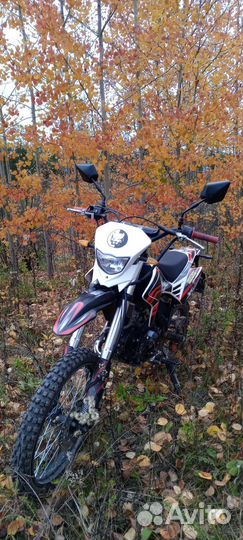 Продам питбайк xmotos 140