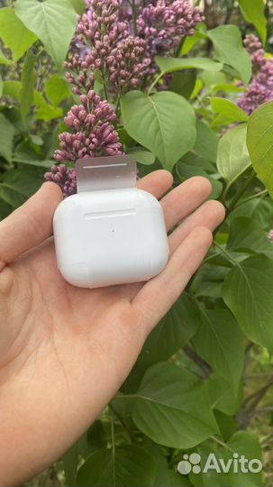 Наушники apple