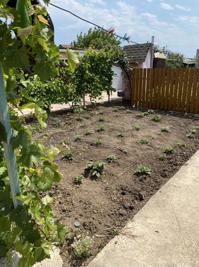 Дом 86,4 м² на участке 7,6 сот.