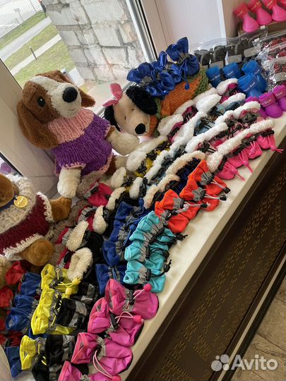 Обувь для собак