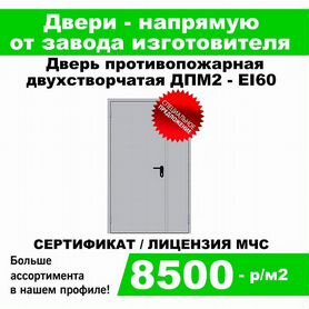 Дверь противопожарная дпм2 EI60 2100*1300мм