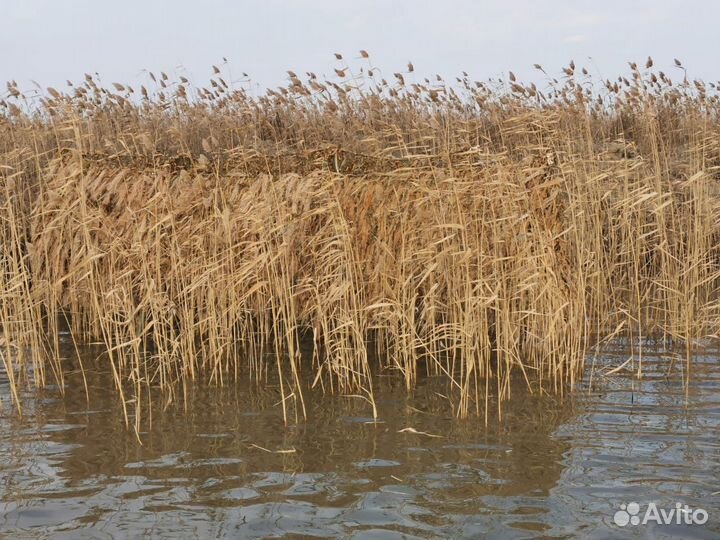 Сеть маскировочная Камыш сухой