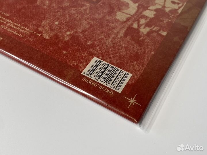 Girl In Red - Beginnings