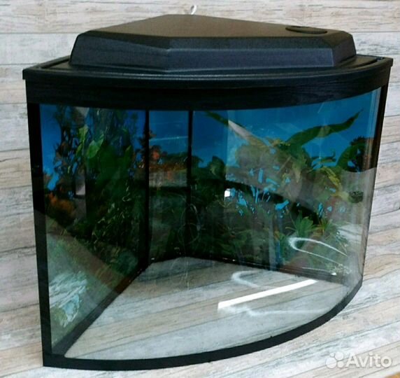 Аквариум угловой сферический 60 литров