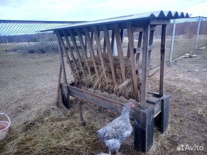 Кормушка для овец коз комбинированная