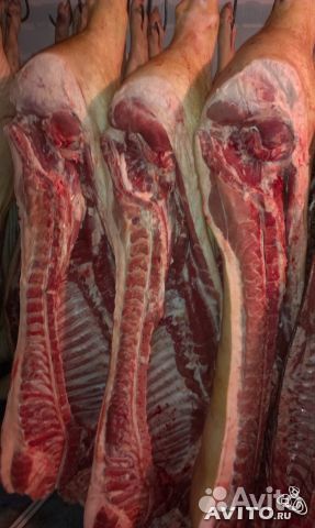 Мясо свинины, разруб, опалка