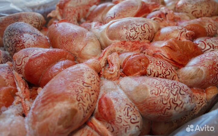 Мясо для собак