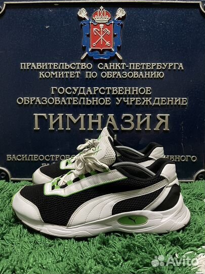 Puma Nucleus