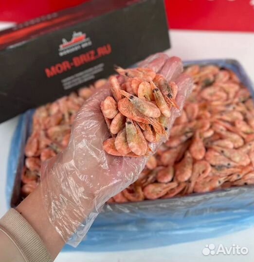 Креветка 250+