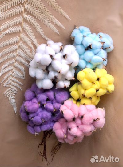 Хлопок сухоцвет