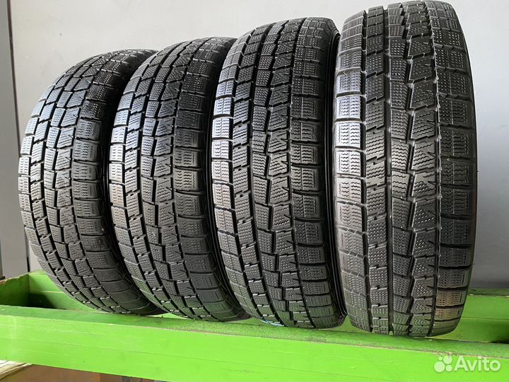 Dunlop Winter Maxx WM01 175/65 R14