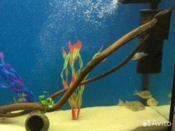 Кварцевый песок для аквариумов