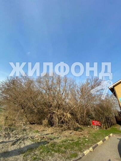 Участок 9,3 сот. (СНТ, ДНП)
