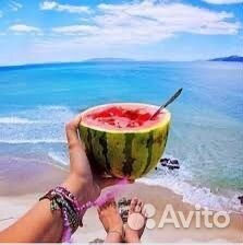 Автобусные туры в Анапу