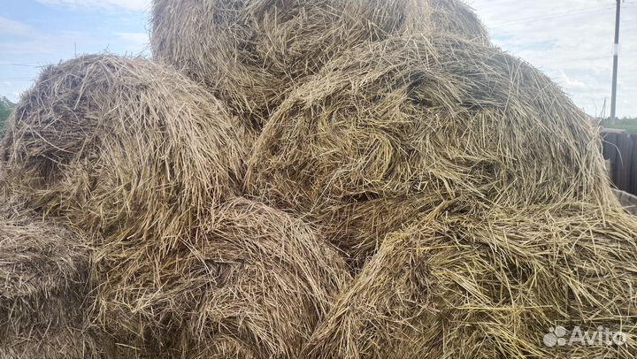 Сено в тюках