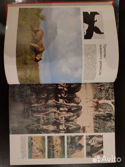 Серия книг удивительный мир живой природы