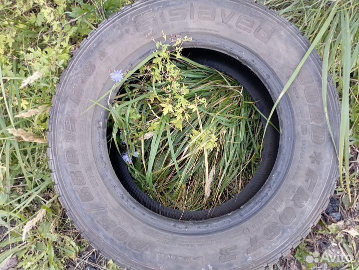 Gislaved Frost 205/65 R15