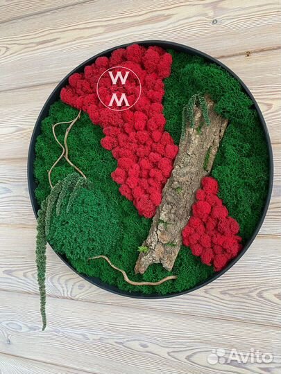 Панели из стабилизированного мха