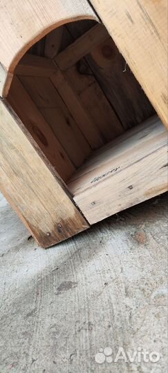 Собачья будка