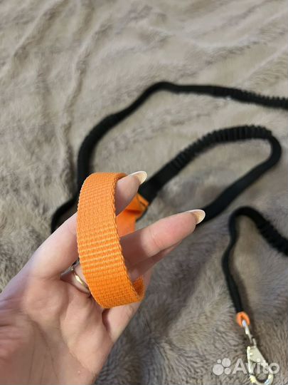 Поводок для собак амортизирующий