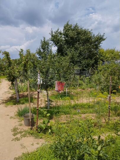 Дача 28 м² на участке 7 сот.