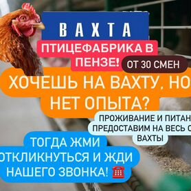 Упаковщик(ца) на фабрику/Вахта в Пензе