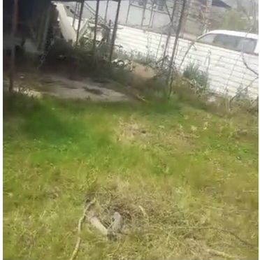 Участок 8400 м² (Абхазия)