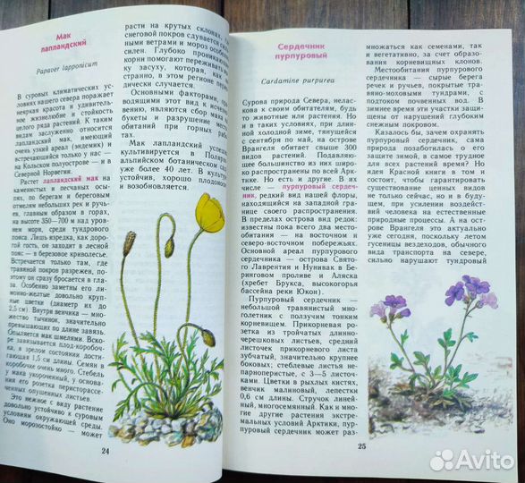 Ботанические книги, растения красной книги