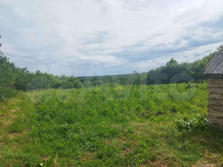 Дом 48,3 м² на участке 24 сот.