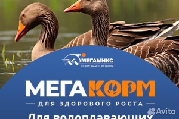 Комбикорм для водоплавающей птицы